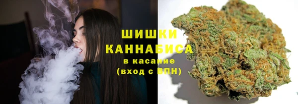 прущие крисы Армянск