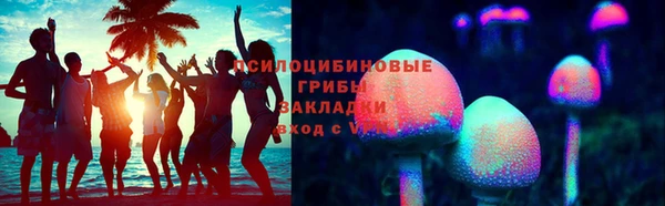 прущая мука Арсеньев