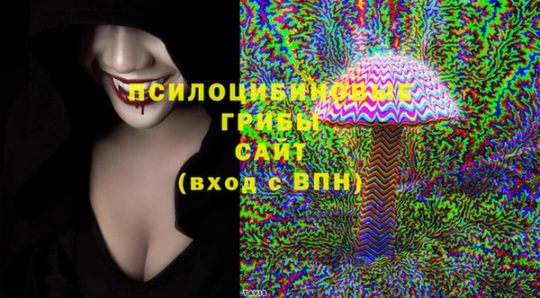 прущая мука Арсеньев