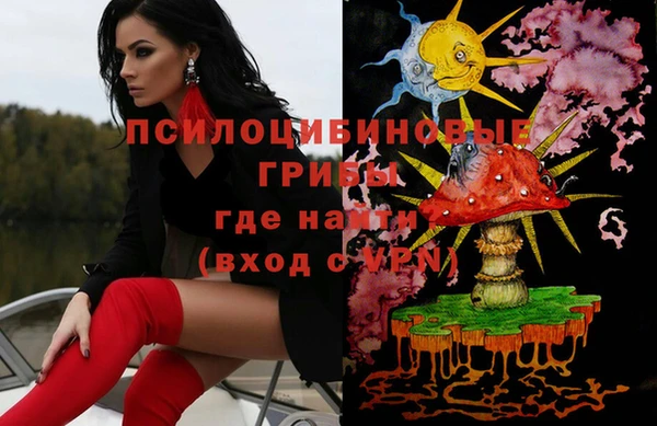 прущая мука Арсеньев