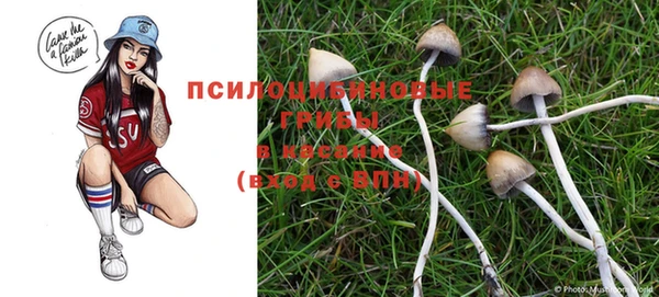 прущие крисы Армянск