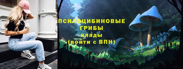 прущая мука Арсеньев
